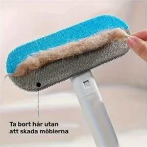 PÄLSBORTTAGARE